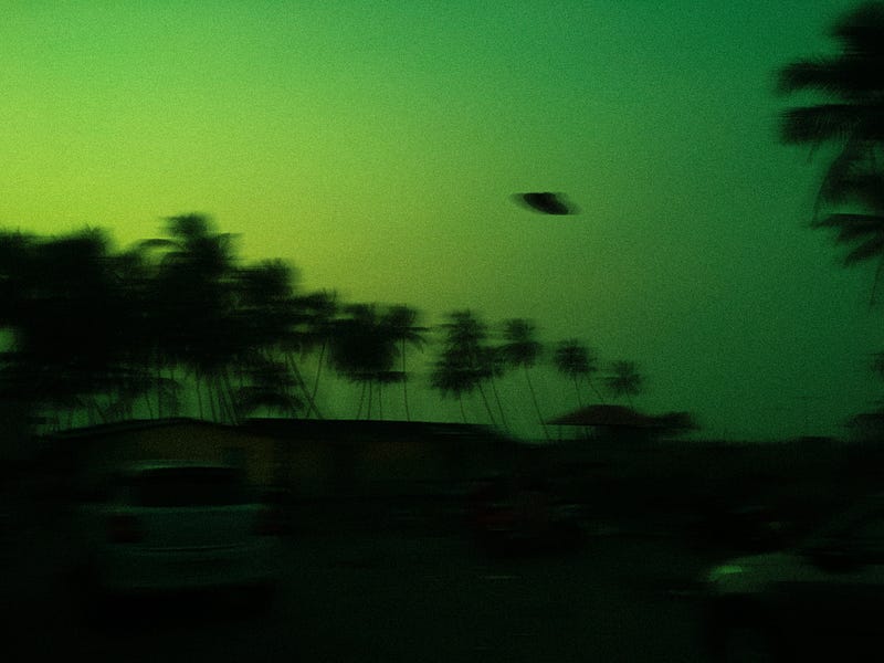 A dark disc-shaped object above palm trees