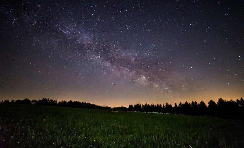 The Milky Way above a forest and meadow at night
